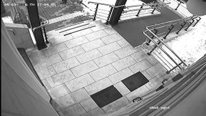 Пример изображения с аналоговой черно-белой видеокамеры