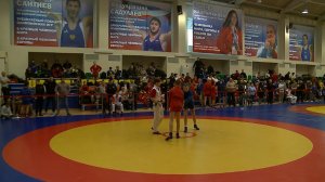 (12+) Первенство Московской области по самбо среди юношей и девушек состоялось в Мытищах