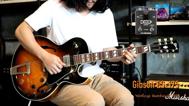 Review Gibson ES-175 vintage Sunburst 1998 By Fusionmusic смотреть онлайн