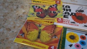 Как посадить виноград и клематис?