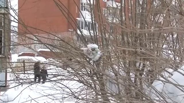 Мусором разбили машину смотреть онлайн