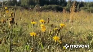 Река Клязьма