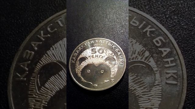 50 тенге. Длинноиглый ёж. смотреть онлайн