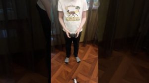 Квадрокоптер Smart Drone Z10 с камерой