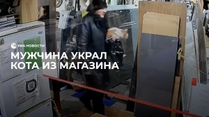 Мужчина украл кота из магазина