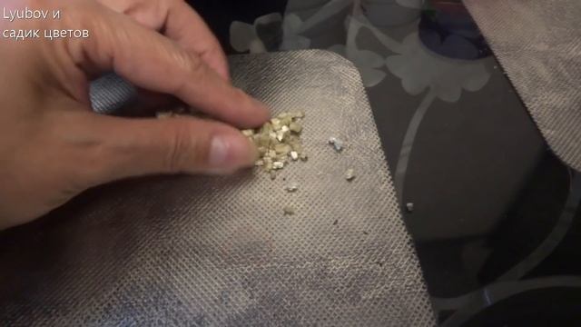 Цветочные полки. Обзор цветочных горшков и полок. Примерка горшков под цветы на местах.