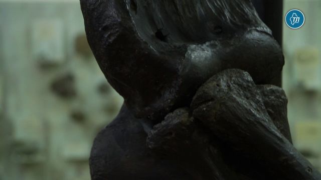 Тюменский мамонт — экспонат уникальный по нескольким причинам