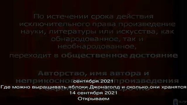 Основные способы размножения малины