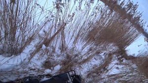 Стелс Капитан 150, первый раз такое...