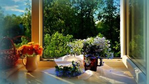 Я сказочно богата - Ольга Дрожжина (читает Людмила Шаповалова-Минченко).