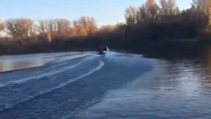 Аквалайн 170 #aqualine170 с #suzuki90