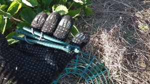 ПОДСТАВКИ ПОД КУСТЫ КЛУБНИКИ  СТОИТ ЛИ ПОКУПАТЬ?  КАКИЕ ПОДСТАВКИ ПОД КЛУБНИКУ  КУПИТЬ