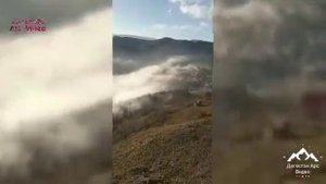 Зубанчи в разное время года