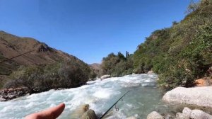 РЫБАЛКА. ДИКАЯ ФОРЕЛЬ В ГОРАХ КЫРГЫЗСТАНА. ЫССЫК-АТА.