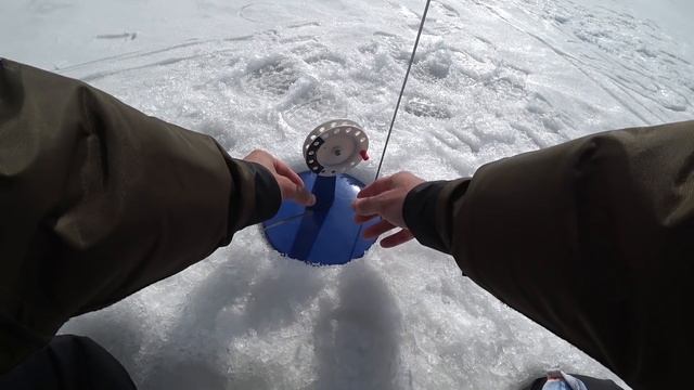 ЧТО СЕГОДНЯ ВЫТВОРЯЮТ ЩУКИ?! ЗИМНЯЯ РЫБАЛКА на ЖЕРЛИЦЫ и БЕЗМОТЫЛКУ. смотреть онлайн