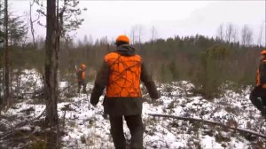 Охота на лося в Финляндии. Тактика