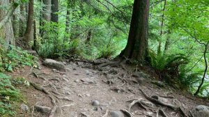 — Водопады Твин (Twin Falls)Водопад в штате Вашингтон