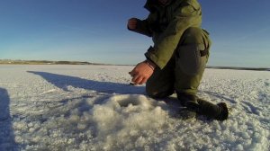 РЫБАЛКА В МОРОЗ. ВОДОХРАНИЛИЩЕ . ЛОВЛЯ НА ИГРУ НА ЧЕРТА.