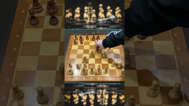 СИЦИЛИАНСКИЙ КАТОК В ШАХМАТАХ! #shrots #chess #шахматы смотреть онлайн