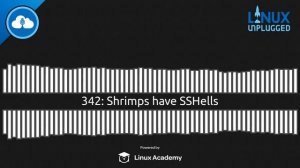 Shrimps have SSHells | LINUX Unplugged 342