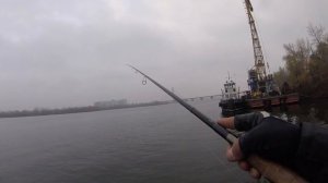 Судак на джиг с берега в городе. Тестирую дальнобойный спиннинг Megabass Astelion 3м.