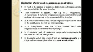 II B.Sc : Botany - Selaginella Part 2 lecture by Dr. Vinayaka K. S.