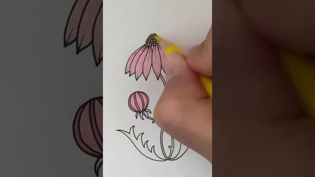 #coloringbook #worldofflowers