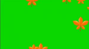 ФУТАЖ ПАДАЮЩИЕ ЛИСТЬЯ - ХРОМАКЕЙ НА ЗЕЛЕНОМ ФОНЕ