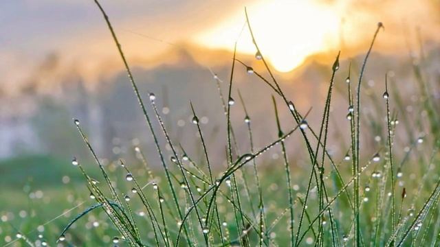 ЗАВЕРШИТЬ НАЧАТОЕ смотреть онлайн