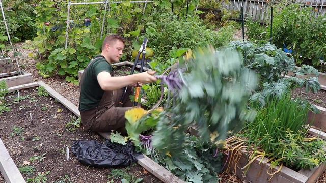 Gardening in Wisconsin - Week 26 of 30 - October 2018 смотреть онлайн