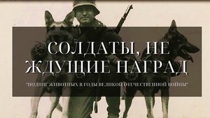 Солдаты, не ждущие наград. Видеоэкскурс.mp4