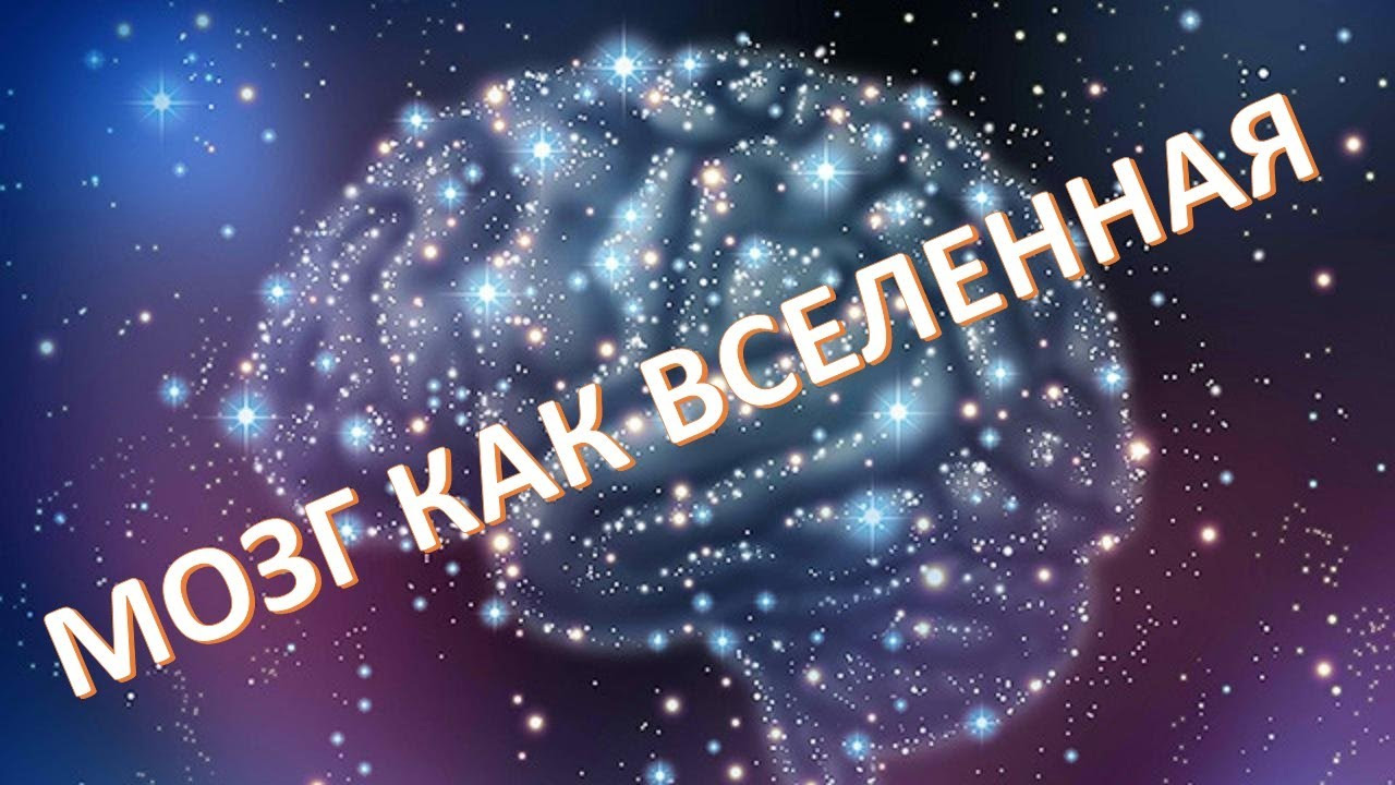 Что общего между Вселенной и человеческим мозгом?