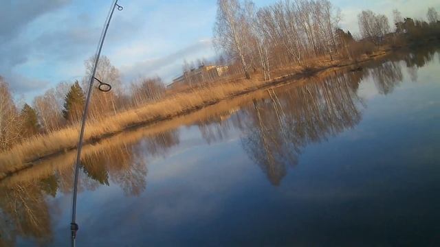 Железногорск красноярский край , немного рыбов с озера
