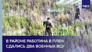 В районе Работина в плен сдались два военных ВСУ