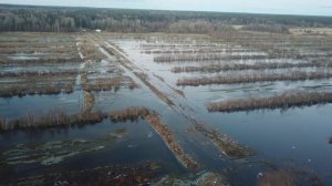 Река Гороховка