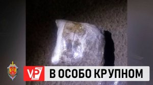 ВОЛГОГРАДЦА ОСУДИЛИ НА 7 ЛЕТ КОЛОНИИ СТРОГОГО РЕЖИМА ЗА СБЫТ НАРКОТИКОВ
