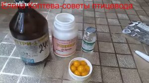 Пропойка для индюшат из своего хозяйства(не покупных) от 0 до 90 дней.