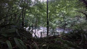 р.Белая, Гузерипль, Краснодарский край