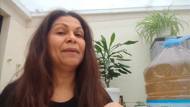 El mejor fertilizante natural para tus plantas @lilleplants смотреть онлайн