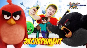 ANGRY BIRDS против Свиней! КИРИЛЛ и СТИВ: эксперимент с цепной реакцией!