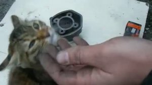 Водяное охлаждение для скутера. Поршневая Полини.