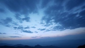 стихи о любимой