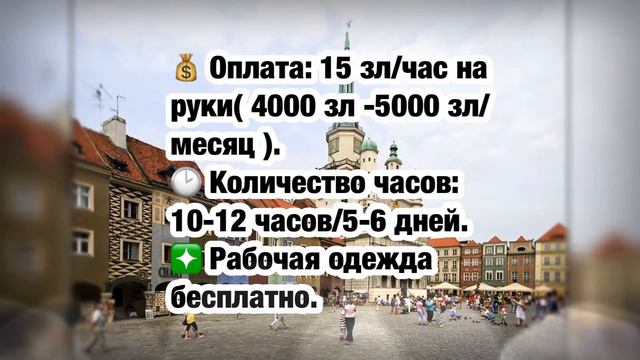 Работа в Польше смотреть онлайн
