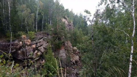 Карпушиха карьер