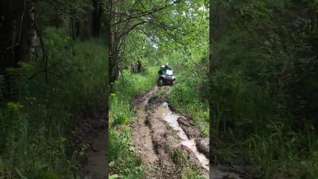 Прокат квадроциклов на Манжероке (горный Алтай)