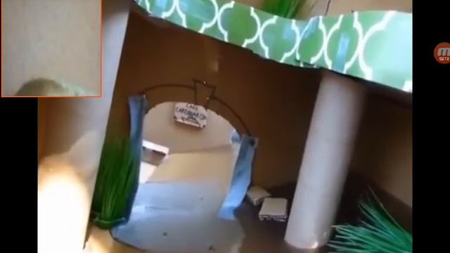 Передать из картона тонет смотреть онлайн