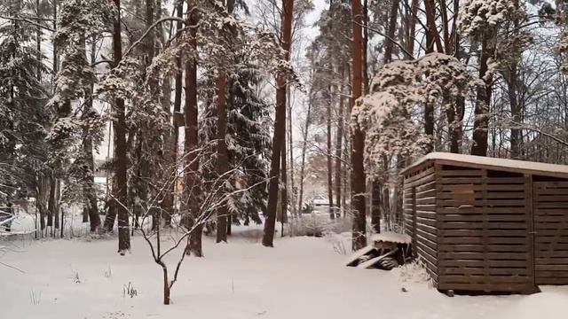 Жизнь в Асари. Начало декабря смотреть онлайн