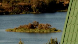 Отдых в загородном комплексе "Emmaus Volga Club"