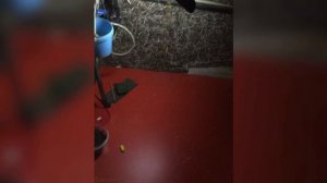 Когда унитаз ниже канализации