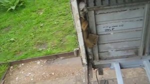 Ремонт фургона